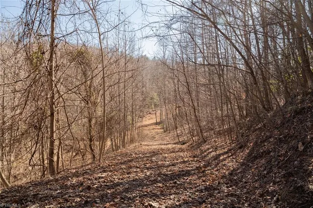 $57,000 | Lot 6 Green Point Lane, Boomer, NC 28606