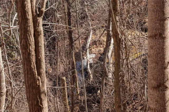 $57,000 | Lot 6 Green Point Lane, Boomer, NC 28606