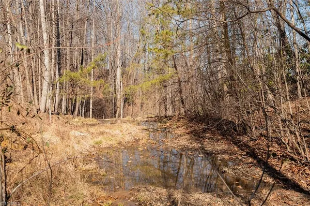 $57,000 | Lot 6 Green Point Lane, Boomer, NC 28606