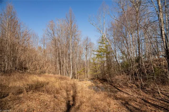 $57,000 | Lot 6 Green Point Lane, Boomer, NC 28606