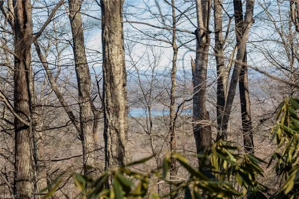 $35,000 | Lot 6 Green Point Lane, Boomer, NC 28606