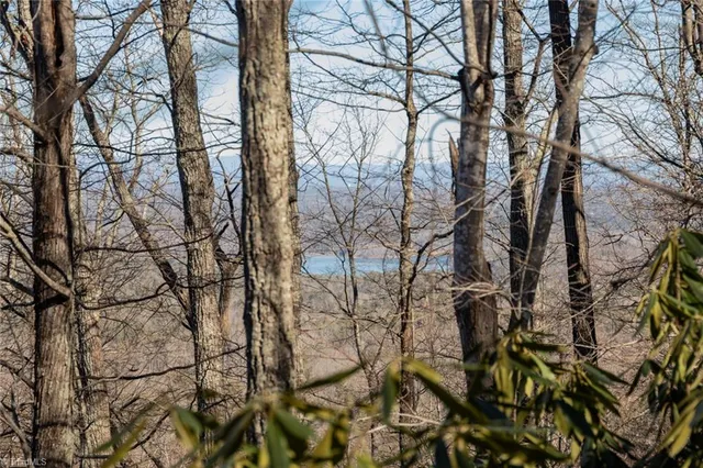 $57,000 | Lot 6 Green Point Lane, Boomer, NC 28606