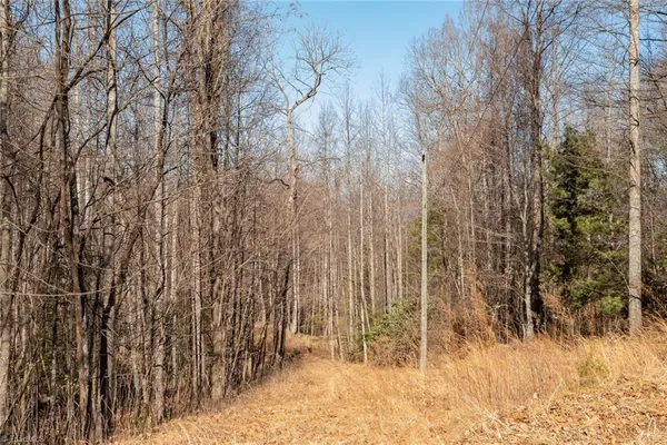 $35,000 | Lot 6 Green Point Lane, Boomer, NC 28606