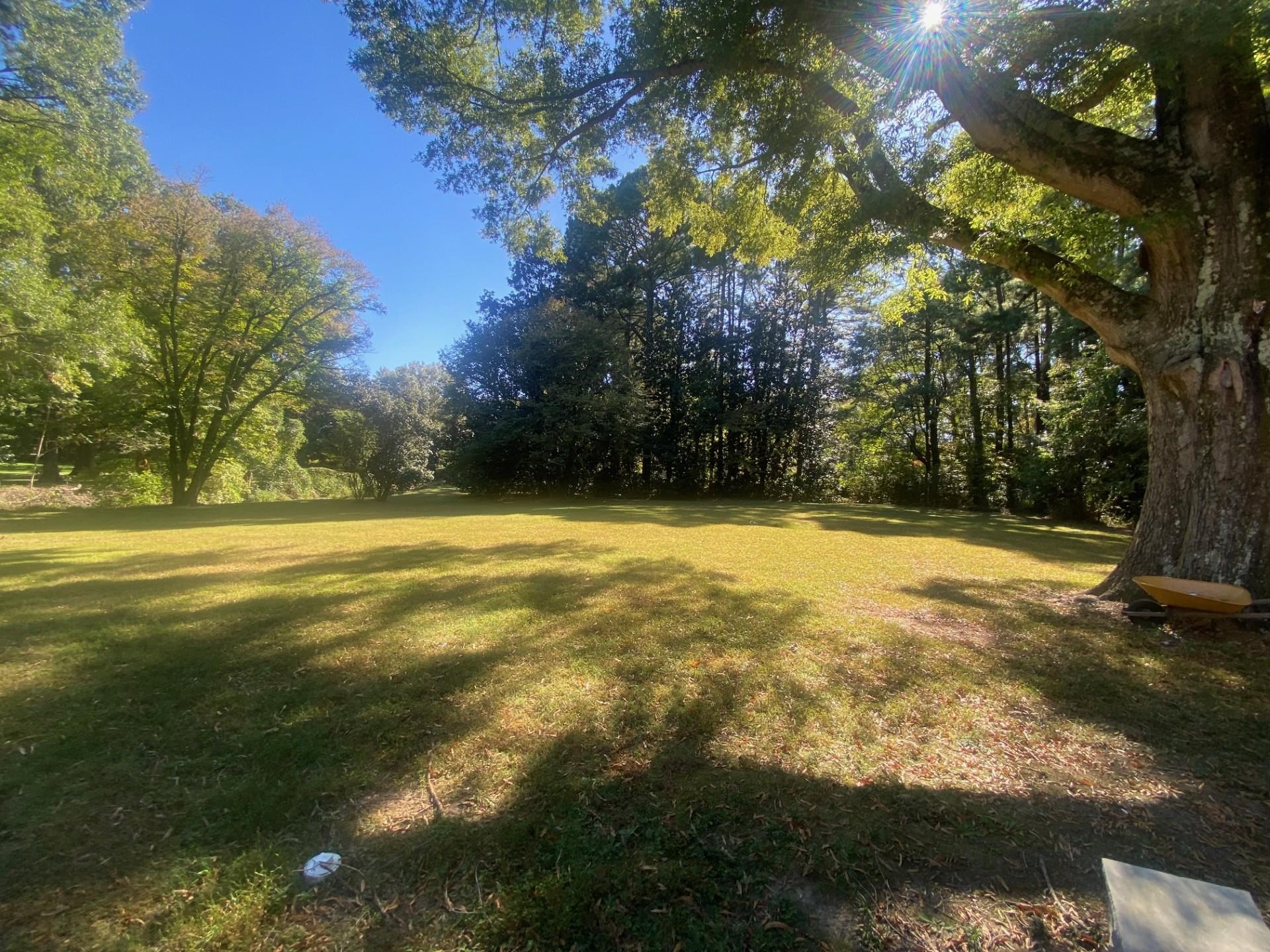 40 North Acres Drive Jackson, TN 38301 - Photo 17 of 24 a view of outdoor space with garden