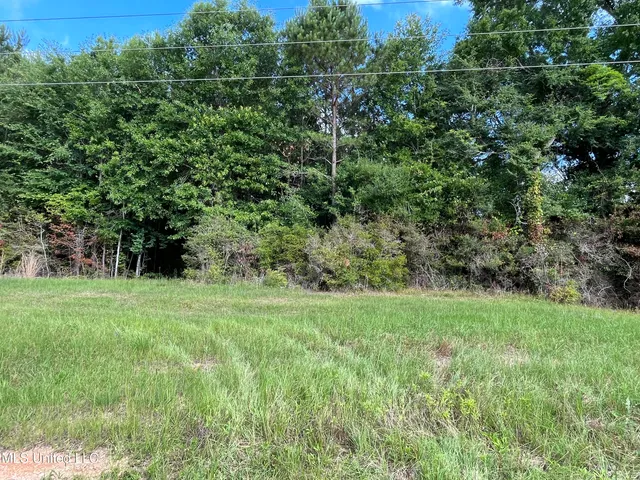 $300,000 | 84 Old Highway, Prentiss, MS 39474