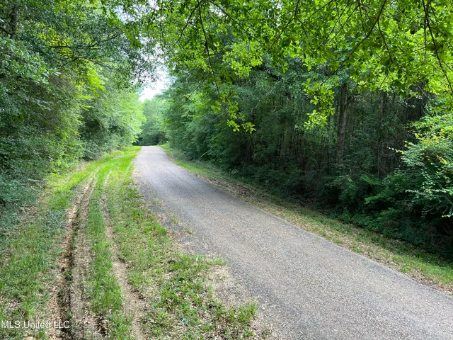 $300,000 | 84 Old Highway, Prentiss, MS 39474