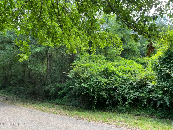 $300,000 | 84 Old Highway, Prentiss, MS 39474