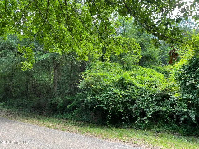 $300,000 | 84 Old Highway, Prentiss, MS 39474