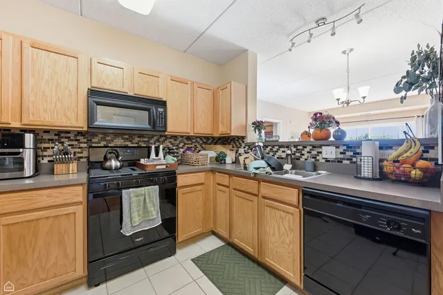 $347,900 | 440 West Mahogany Court, Unit 303, Palatine, IL 60067