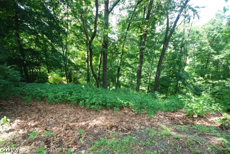 36 Mountain Lake Road Belvidere, NJ 07823 - Photo 21 of 21