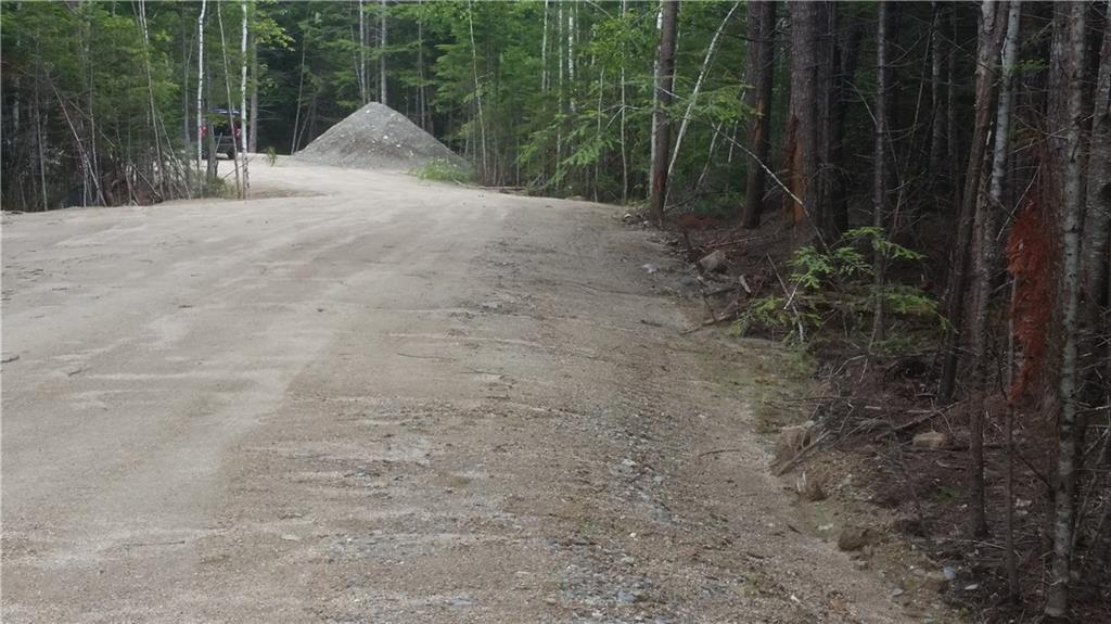0 Boyce Cove Road Lakeville, ME 04487 - Photo 10 of 16 Curve in driveway offers privacy...