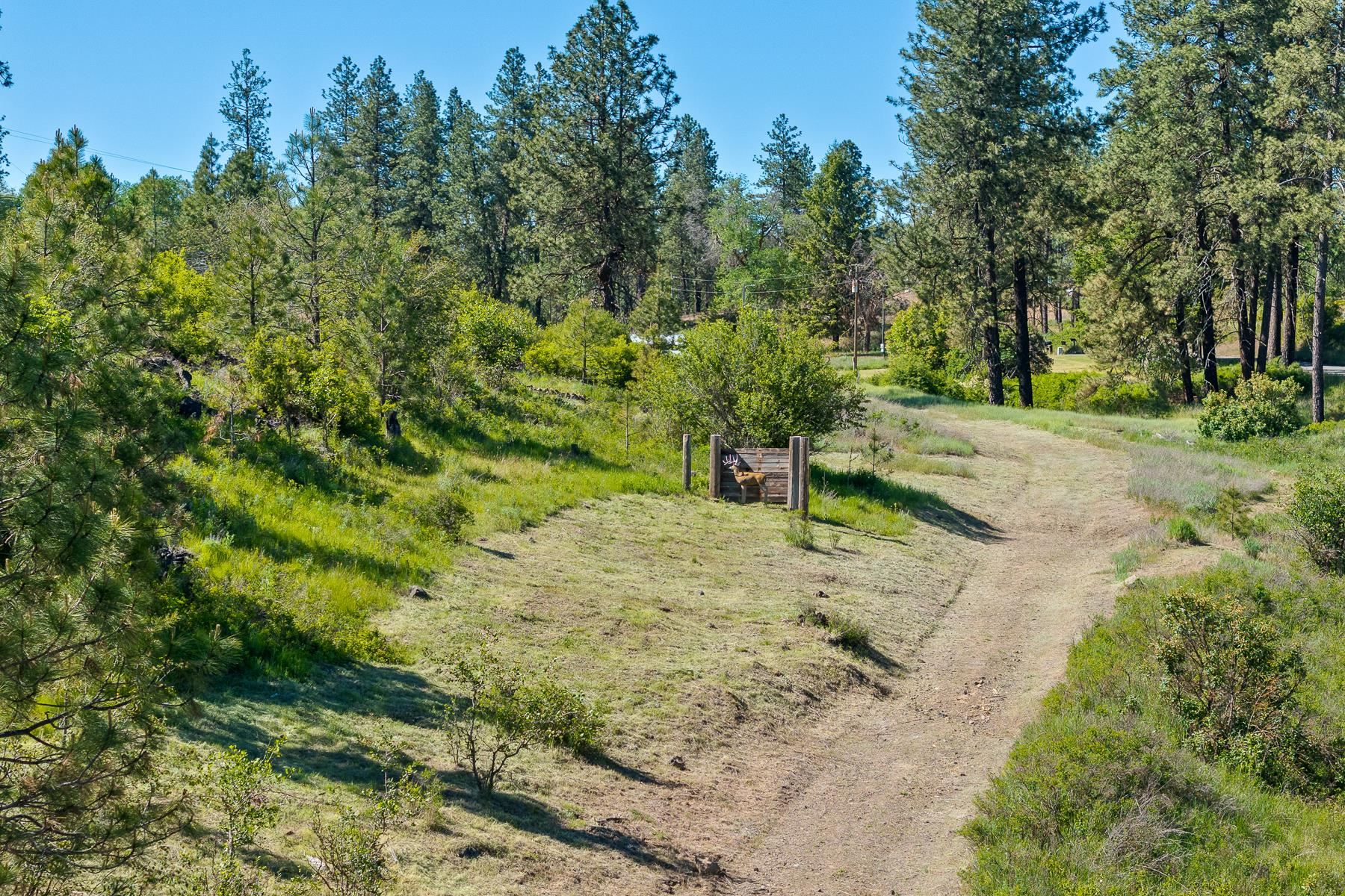 4809 North Gordon Road Spokane, WA 99224 - Photo 35 of 40