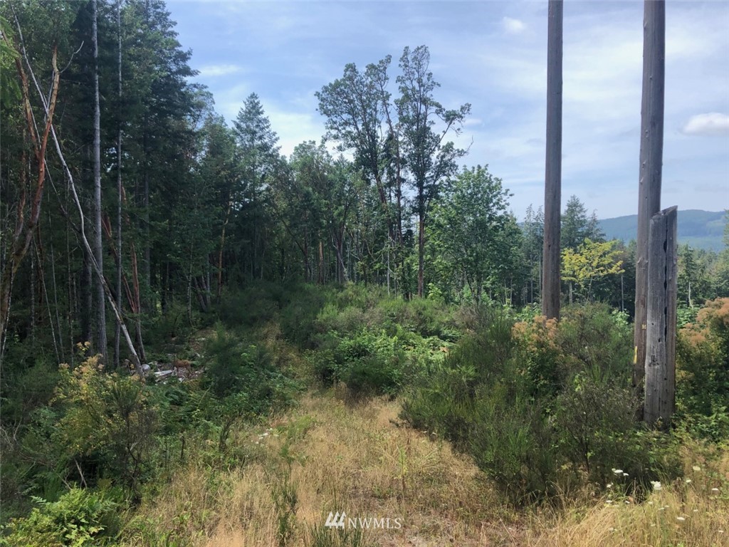 0 Clair Road Southwest Port Orchard, WA 98367 - Photo 2 of 4 Gallery Image 2