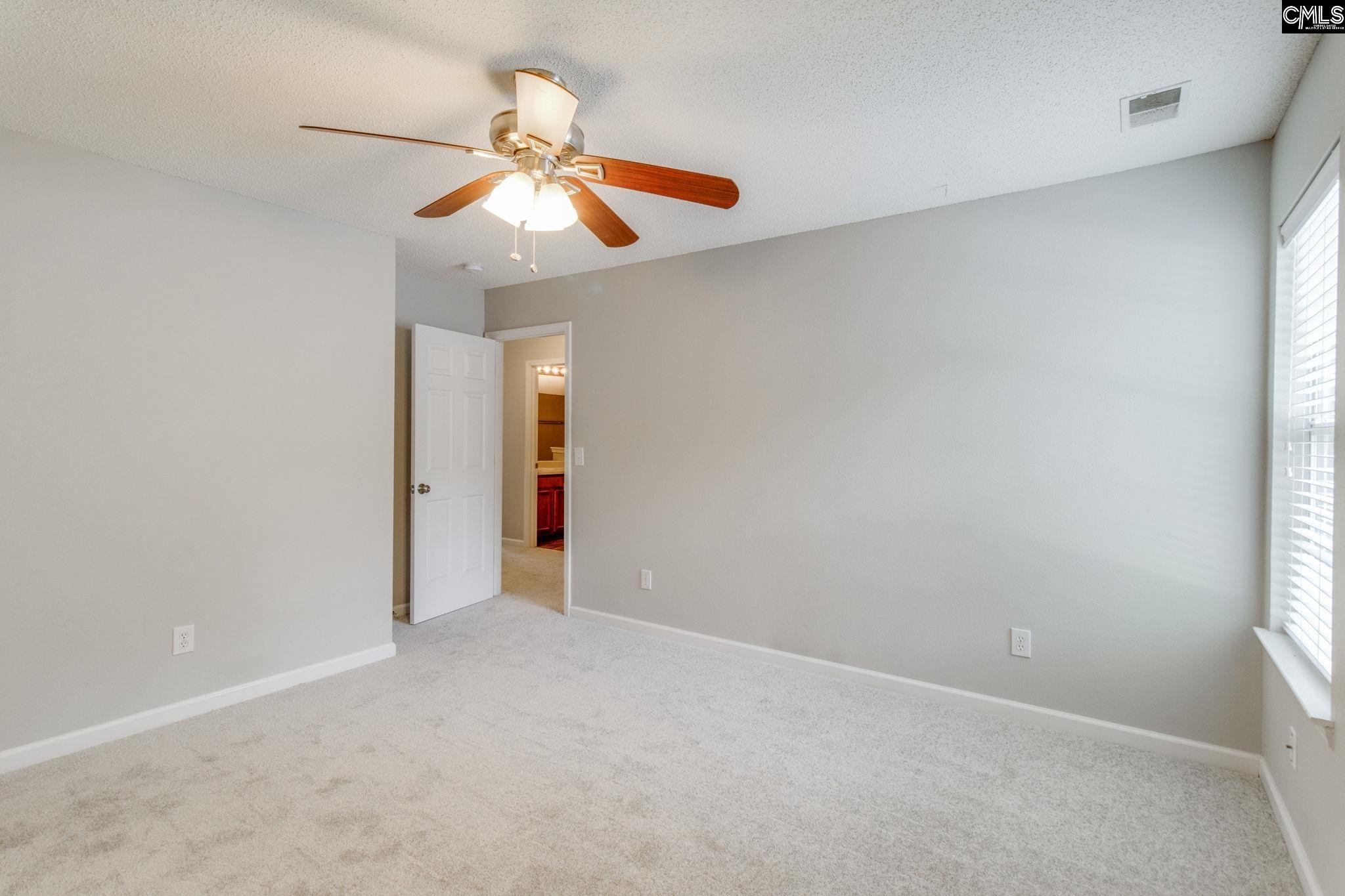 5 Redbrush Court Chapin, SC 29036 - Photo 26 of 62