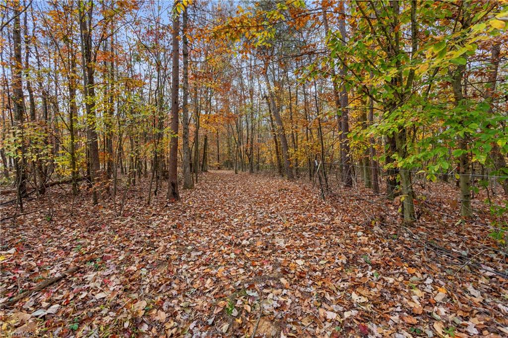 1190 Smothers Road Madison, NC 27025 - Photo 45 of 49