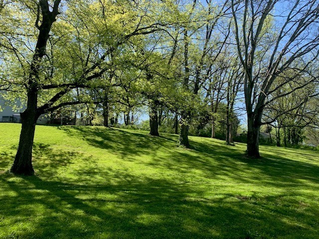 0 Poplar Street Columbia, TN 38401 - Photo 2 of 2 a view of a park with large trees