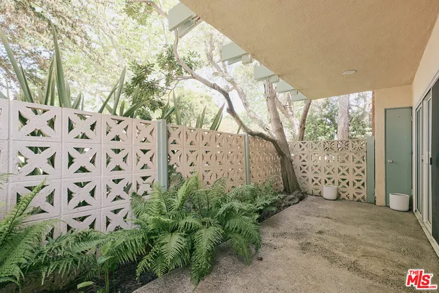 a view of a yard with plants and large trees