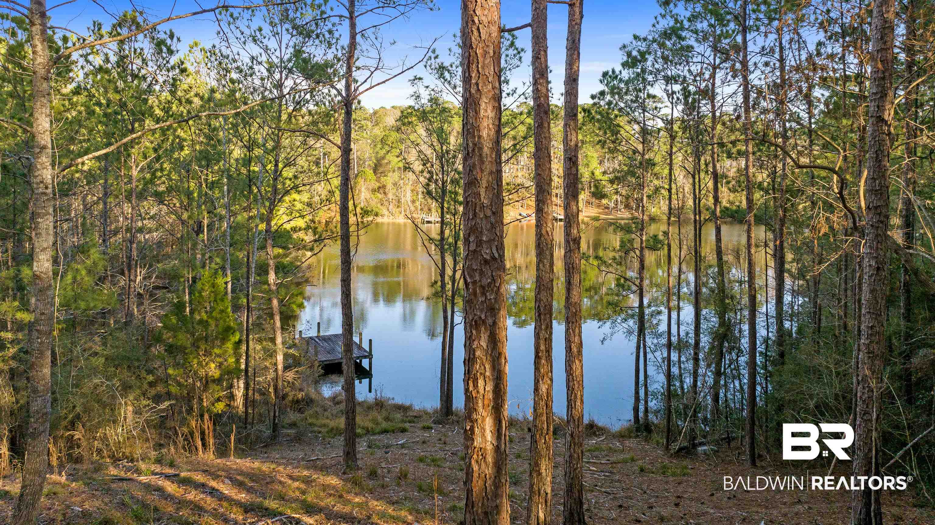 31690 Rhett Drive Spanish Fort, AL 36527 - Photo 51 of 61 Gallery Image 51