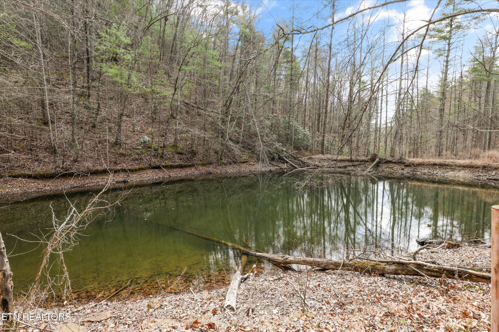 314 Caney Branch Road Tellico Plains, TN 37385 - Photo 17 of 22 Gallery Image 17