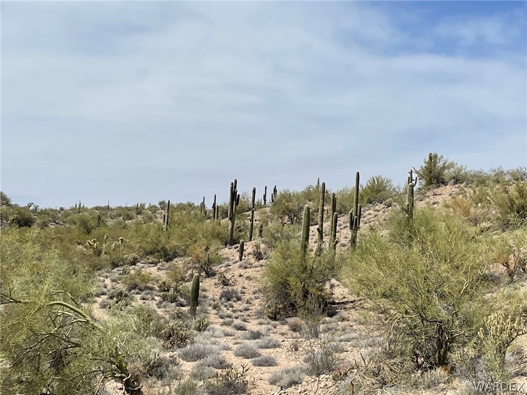 0 Signal Road Yucca, AZ 86438 - Photo 8 of 21 Gallery Image 8