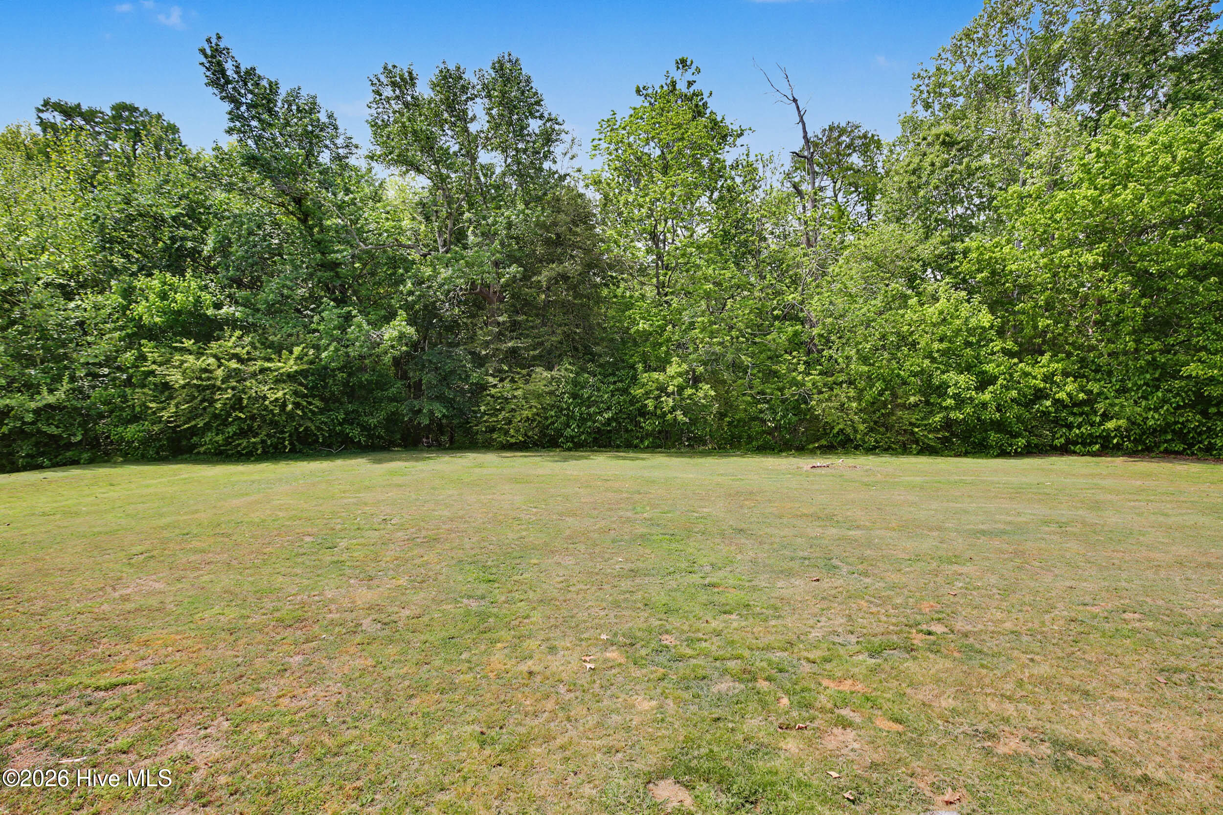 178 Woodland Church Road Hertford, NC 27944 - Photo 18 of 19 Backyard