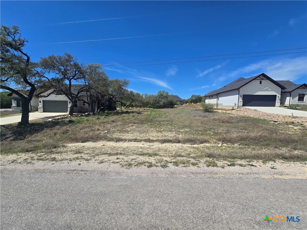 216 George Dolson Blanco, TX 78606 - Photo 1 of 17 a view of a large house with a road