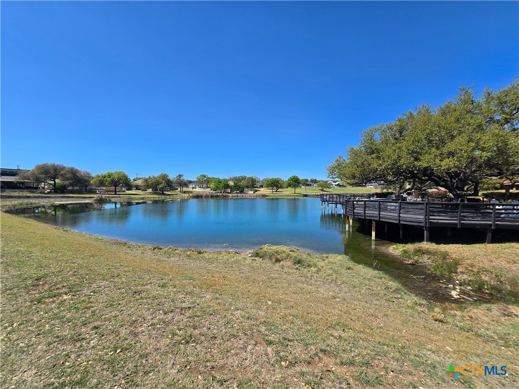 216 George Dolson Blanco, TX 78606 - Photo 12 of 17 a view of a lake with houses