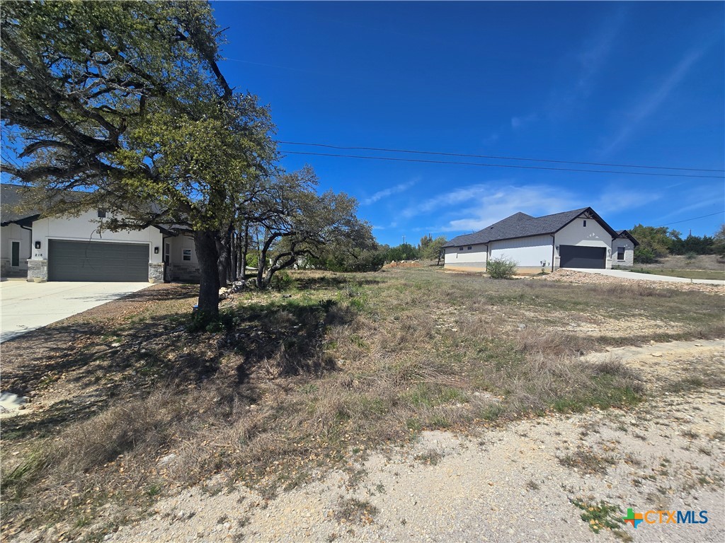 216 George Dolson Blanco, TX 78606 - Photo 4 of 17 a view of dirt yard with a large tree