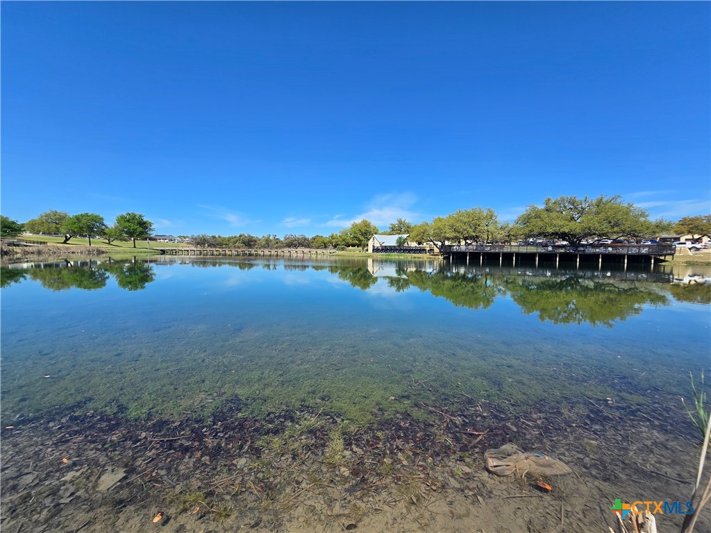 216 George Dolson Blanco, TX 78606 - Photo 10 of 17 a view of a lake with houses in the back