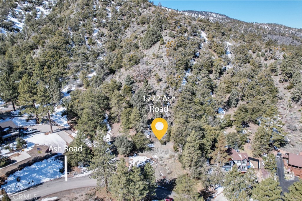 1772 Ash Road Wrightwood, CA 92397 - Photo 3 of 13 a view of a forest with a trees