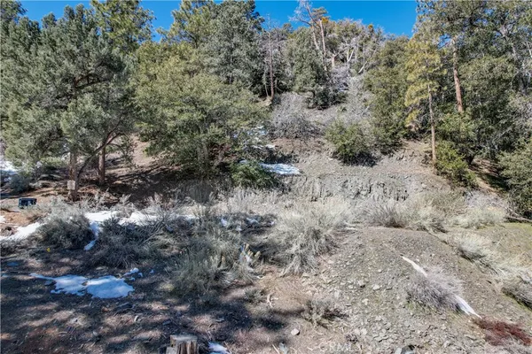 a view of a forest with mountains in the background
