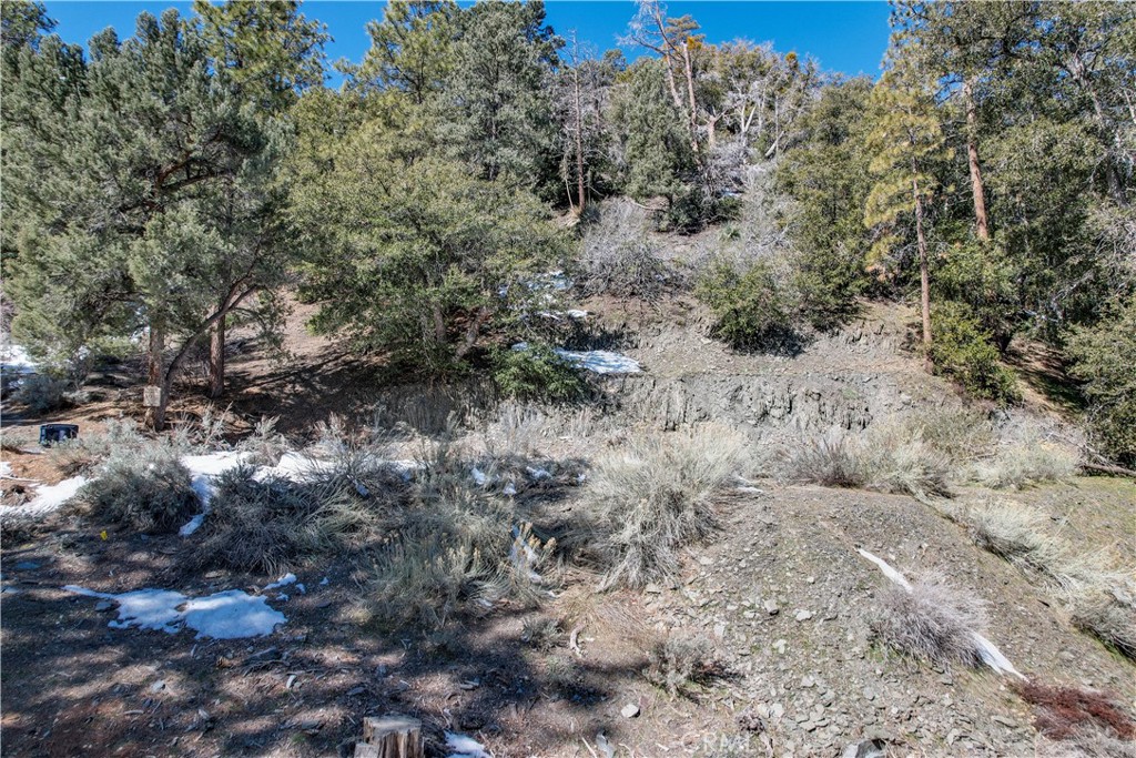 1772 Ash Road Wrightwood, CA 92397 - Photo 7 of 13 a view of a dry field with trees in the background