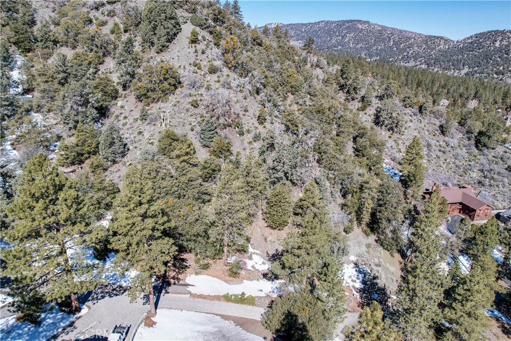 1772 Ash Road Wrightwood, CA 92397 - Photo 8 of 13 a view of a forest with mountains in the background