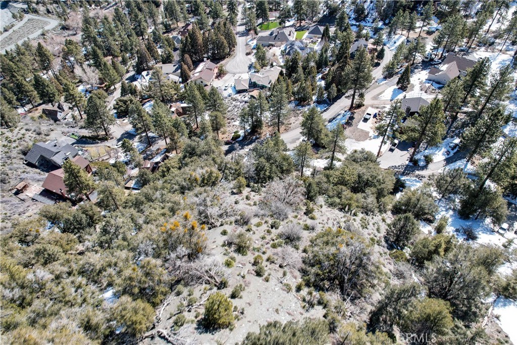 1772 Ash Road Wrightwood, CA 92397 - Photo 10 of 13 a view of a tree