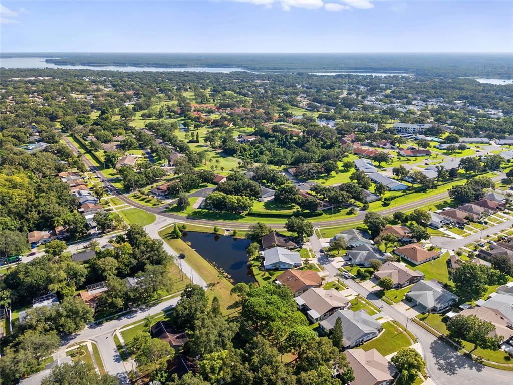 3201 McMath Drive Palm Harbor, FL 34684 - Photo 46 of 59 an aerial view of residential houses with outdoor space