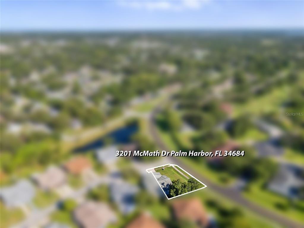 3201 McMath Drive Palm Harbor, FL 34684 - Photo 47 of 59