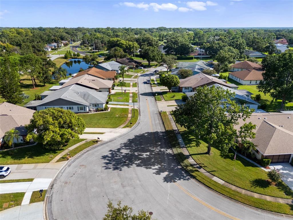 3201 McMath Drive Palm Harbor, FL 34684 - Photo 50 of 59