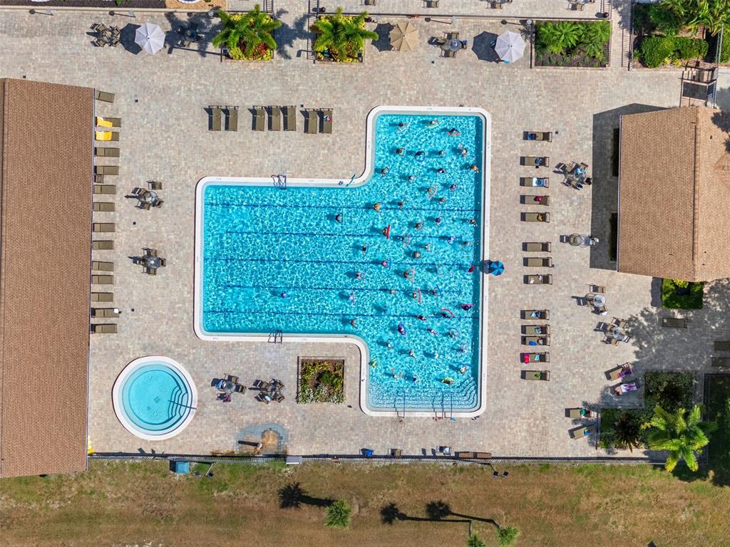 3201 McMath Drive Palm Harbor, FL 34684 - Photo 52 of 59 a bird view of a house