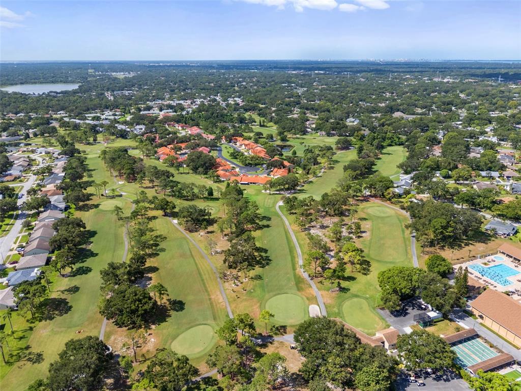 3201 McMath Drive Palm Harbor, FL 34684 - Photo 54 of 59 an aerial view of residential houses with outdoor space and trees