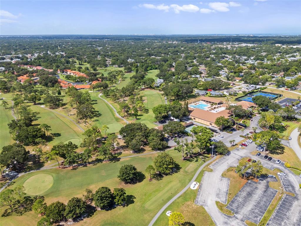 3201 McMath Drive Palm Harbor, FL 34684 - Photo 55 of 59 an aerial view of residential houses with outdoor space