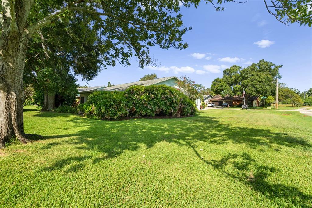3201 McMath Drive Palm Harbor, FL 34684 - Photo 10 of 59 a view of a garden with a building in the background