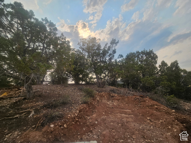 915 South Stagecoach Road, Unit 8 Fruitland, UT 84027 - Photo 17 of 40 Beautiful Property Views - Nice Large Trees!