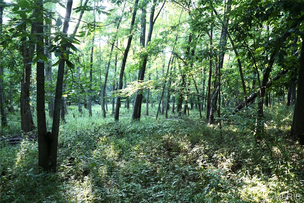 0 County Farm Road Kell, IL 62853 - Photo 25 of 25