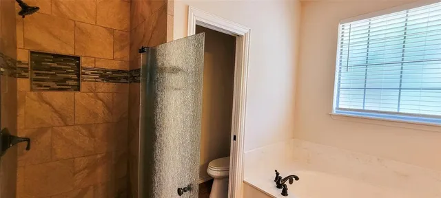 a bathroom with a shower and a toilet