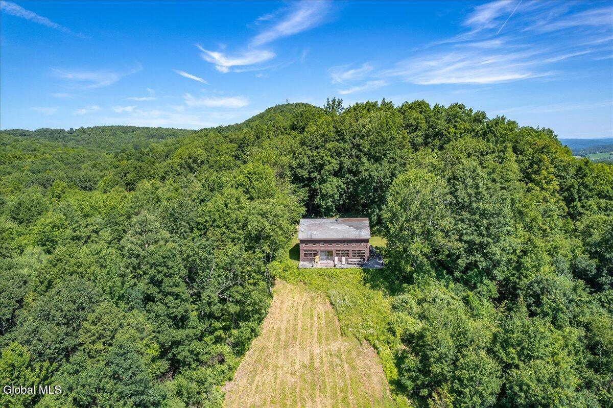 218 Colfax Road Jackson, NY 12816 - Photo 2 of 46 36-235 Colfax Rd-36