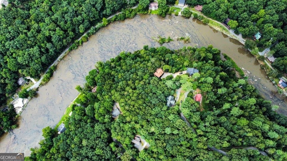 166 Riparian Way Ellijay, GA 30540 - Photo 3 of 34 an aerial view of a house with a yard and covered with trees
