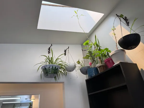 $388,000 | 14764 Tanyard Hill Road, Pine Grove, CA 95665