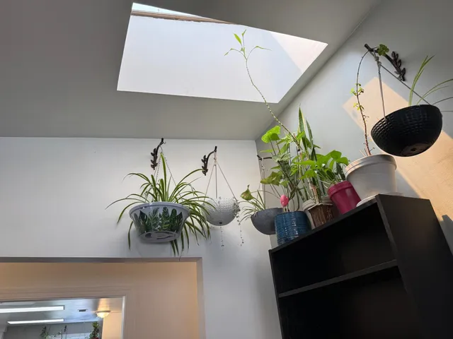 $395,000 | 14764 Tanyard Hill Road, Pine Grove, CA 95665