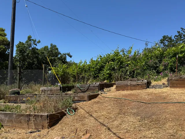 $395,000 | 14764 Tanyard Hill Road, Pine Grove, CA 95665