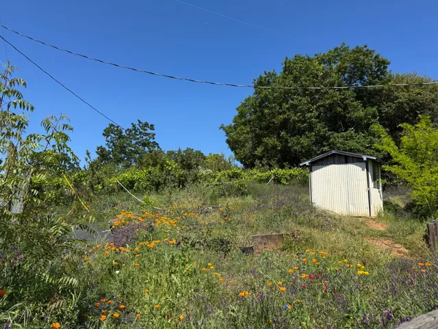 $395,000 | 14764 Tanyard Hill Road, Pine Grove, CA 95665